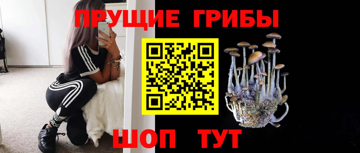 Галлюциногенные грибы мухоморы  Вход с VPN  Россошь 